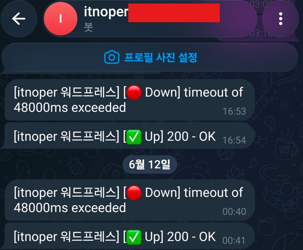 업타임 쿠마가 서버 다운을 감지해 텔레그램으로 보낸 Down/Up 알림 화면 - 서버 모니터링 자동 알림